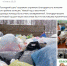 Итоги акции «Новый год с хвостиком-2018» - Управление образования